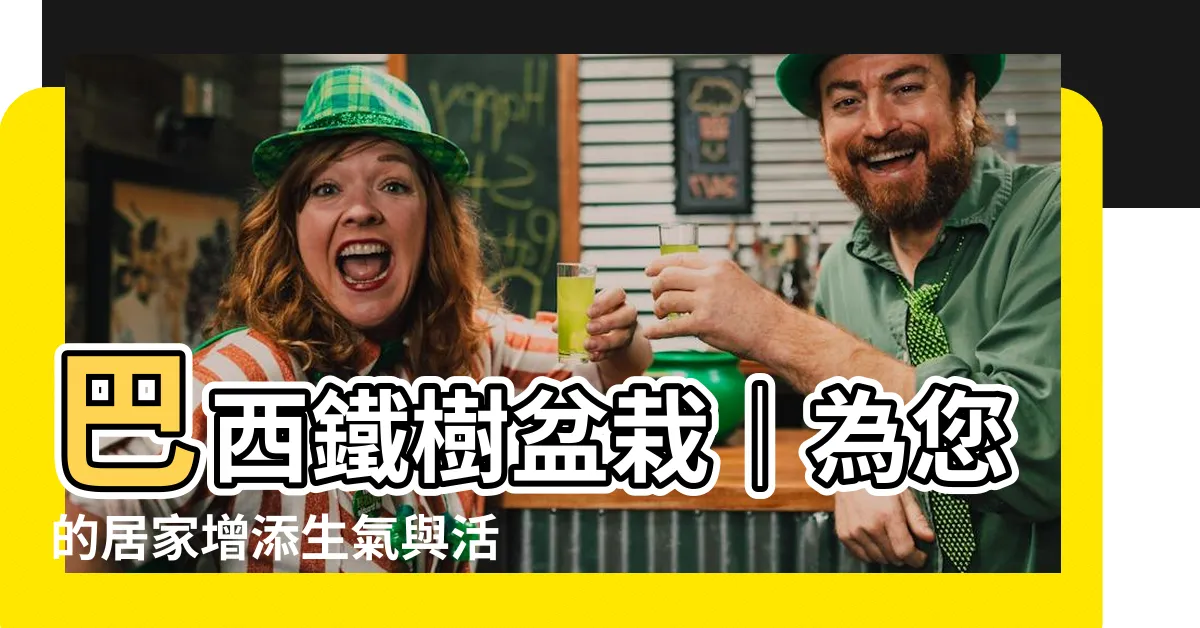 【巴西鐵樹盆栽】巴西鐵樹盆栽｜為您的居家增添生氣與活力