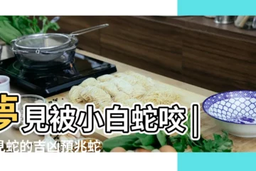 【做夢夢見自己被白蛇咬】夢見被小白蛇咬 |夢見蛇的吉凶預兆蛇躲在 |將會疾病纏身 |