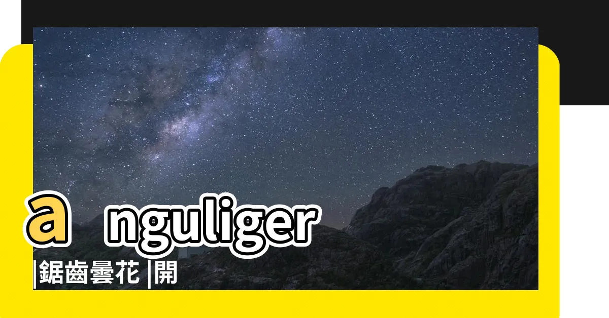 【鋸齒曇花】anguliger |鋸齒曇花 |開花時間 |