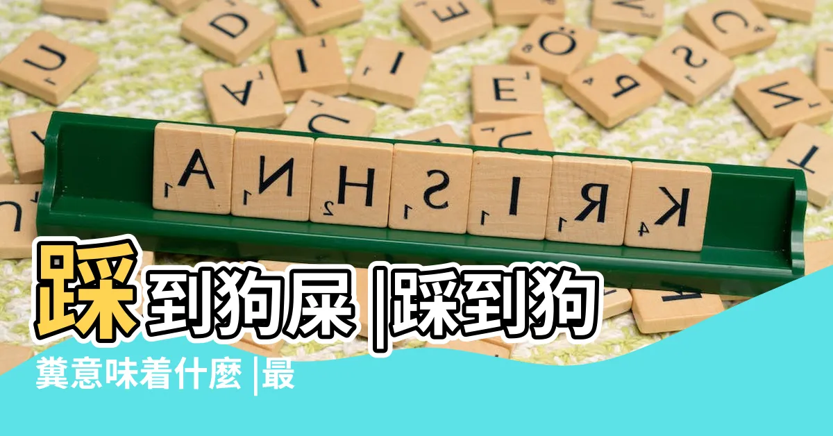 【採到狗大便】踩到狗屎 |踩到狗糞意味着什麼 |最慘的1天 |