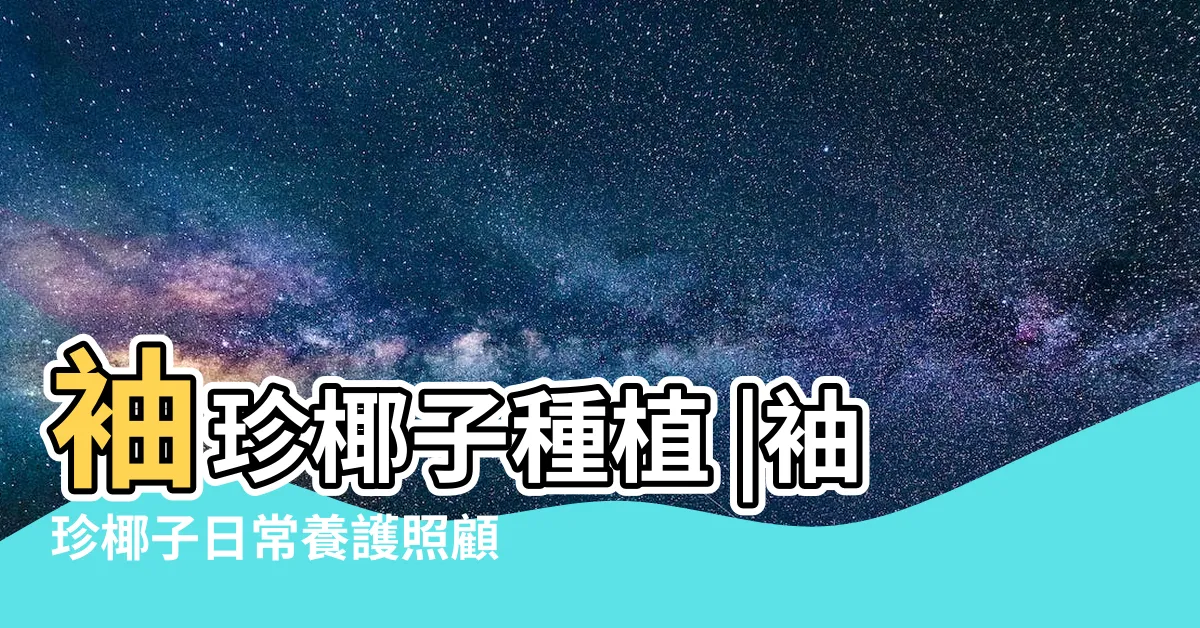【袖珍椰子室內】袖珍椰子種植 |袖珍椰子日常養護照顧方法 |袖珍椰子 |