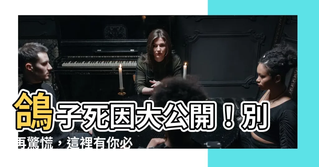 【死掉的鴿子】鴿子死因大公開！別再驚慌，這裡有你必知的關鍵資訊