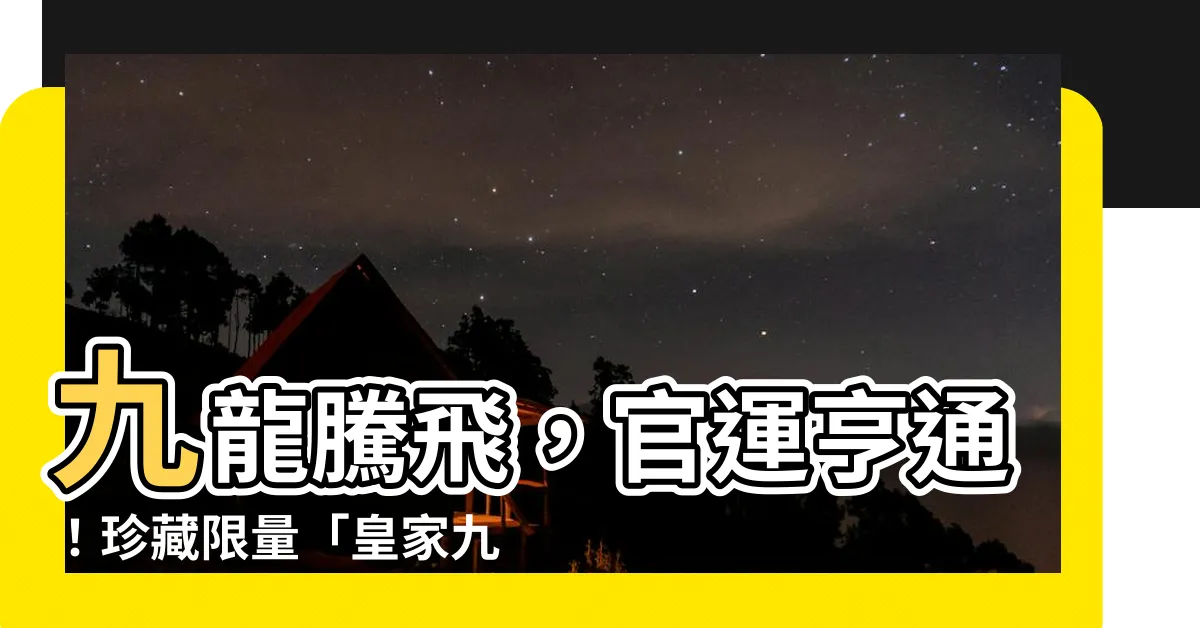 【九龍印】九龍騰飛，官運亨通！珍藏限量「皇家九龍印」