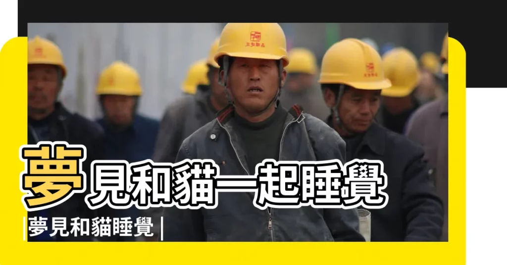夢見和貓一起睡覺 |夢見和貓睡覺 |夢到和貓睡覺是什麼意思 |【夢見有人要和貓睡】