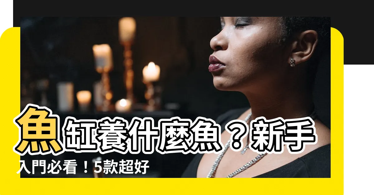 【魚缸養什麼魚好】魚缸養什麼魚？新手入門必看！5款超好養觀賞魚推薦