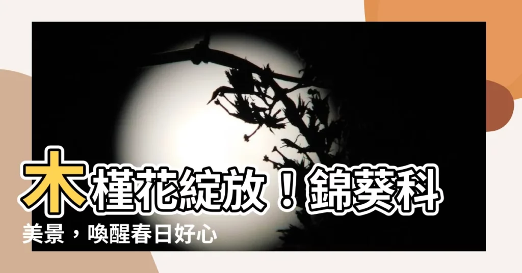 【木瑾花】木槿花綻放!錦葵科美景,喚醒春日好心情