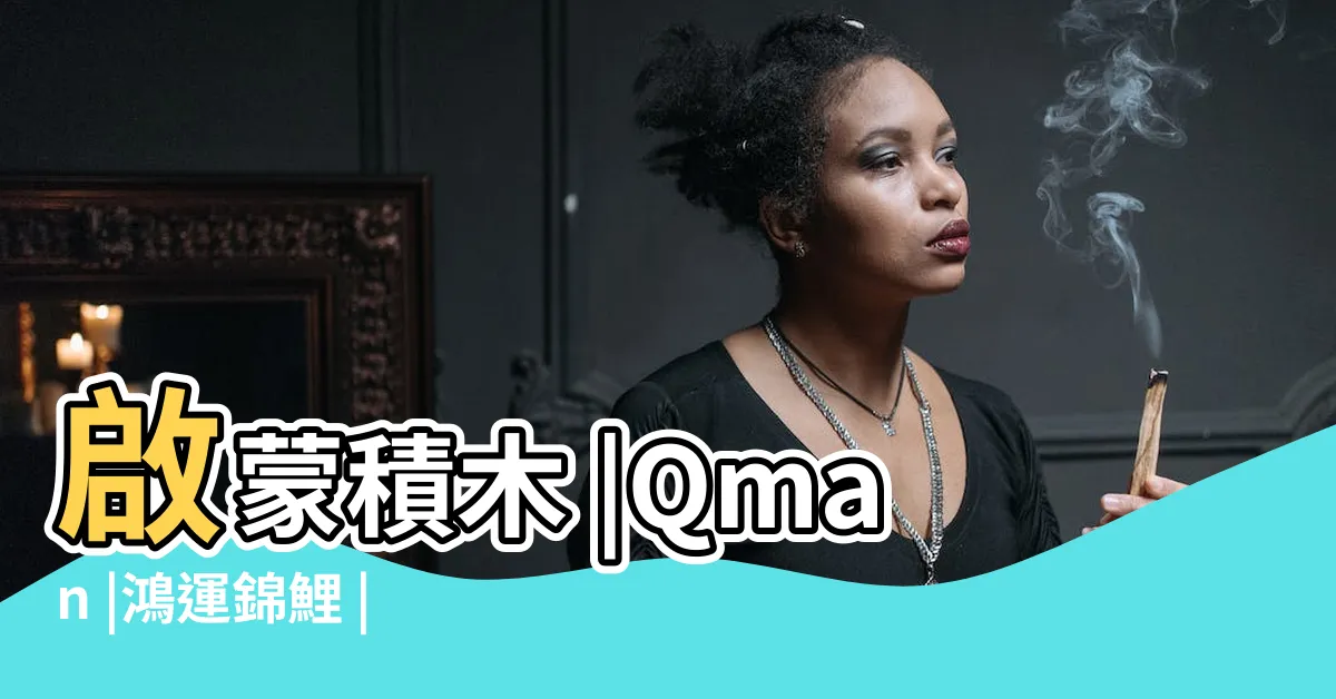 【鴻運錦鯉】啟蒙積木 |Qman |鴻運錦鯉 |