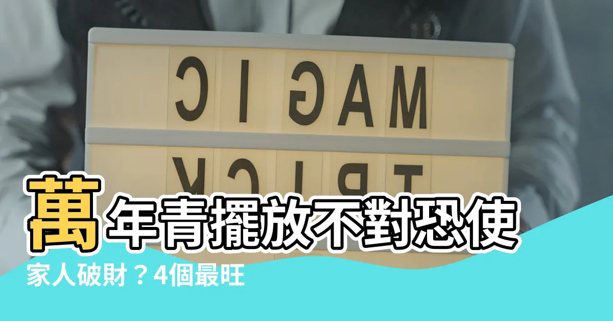 【萬年青風水】萬年青擺放不對恐使家人破財？4個最旺運擺法一定要學