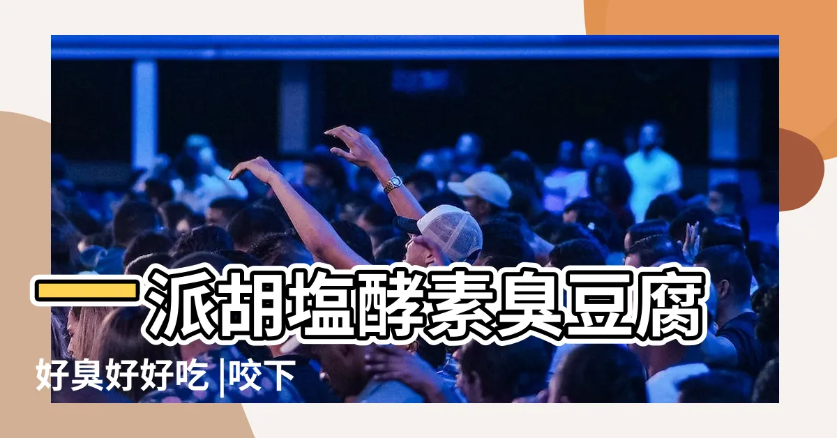 【一派胡言臭豆腐】一派胡塩酵素臭豆腐好臭好好吃 |咬下酥脆層次 |一派胡塩酵素臭豆腐 |