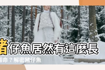 【豬仔魚壽命】豬仔魚居然有這麼長的壽命？解密豬仔魚壽命與地圖魚壽命秘辛