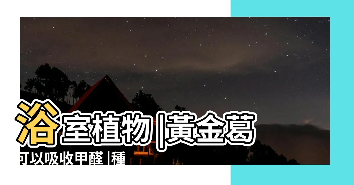 【浴室 植栽】浴室植物 |黃金葛可以吸收甲醛 |種最適合養在浴室 |