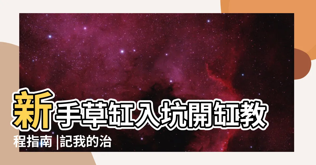 【一缸】新手草缸入坑開缸教程指南 |記我的治癒草缸 |魚缸養多少魚合適 |