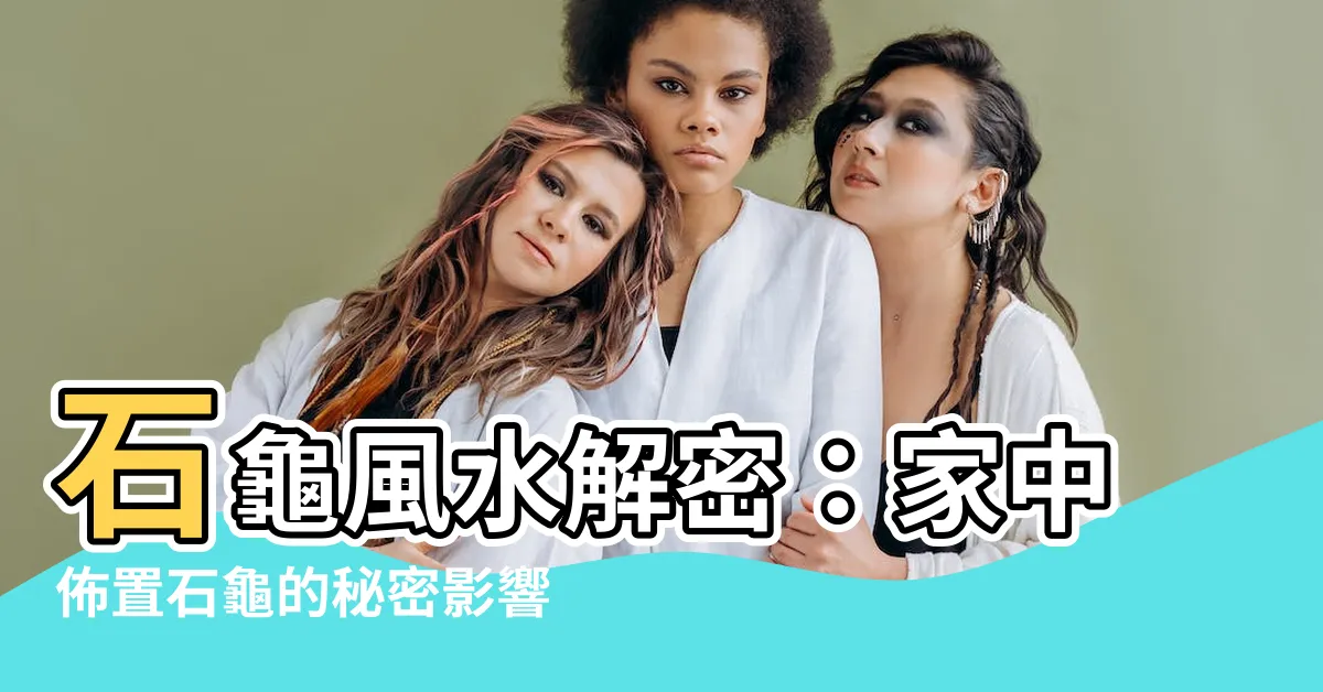 【石龜風水】石龜風水解密：家中佈置石龜的秘密影響力