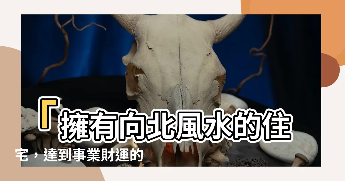 【向北風水】「擁有向北風水的住宅，達到事業財運的極致境界」