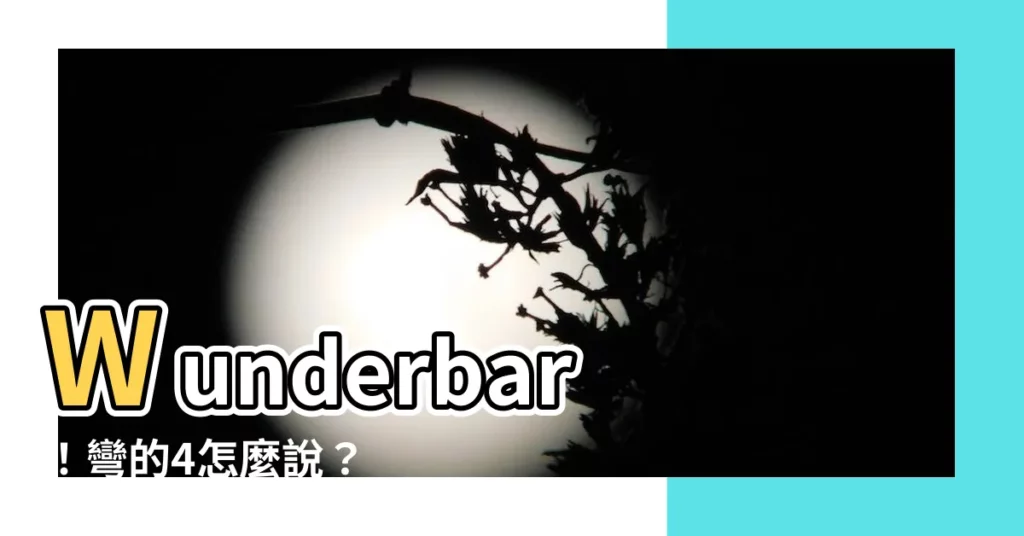 【彎的4】Wunderbar！彎的4怎麼説？