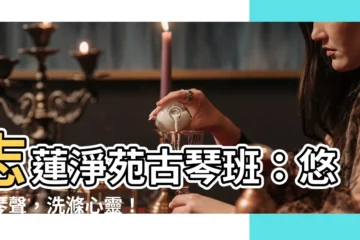 【志蓮淨苑古琴班】志蓮淨苑古琴班：悠揚琴聲，洗滌心靈！