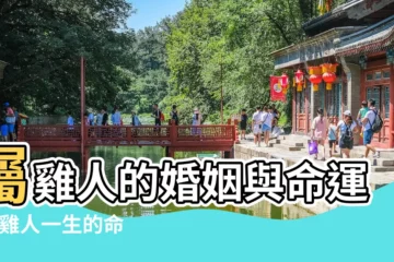 【屬雞人一生的命運婚姻如何】屬雞人的婚姻與命運 |屬雞人一生的命運 |屬雞的婚姻屬雞一生有幾次婚姻 |