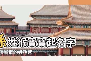 【姓孫猴年孩子起名】孫姓猴寶寶起名字 |男孩屬猴的姓孫起什麼名字好 |猴年孫姓寶寶取名 |