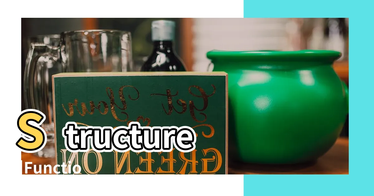 【人耳朵】Structure |Function |Anatomy |