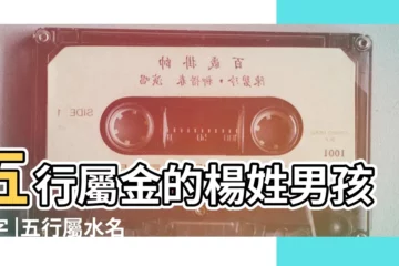 【楊姓五行屬金水的男孩名字】五行屬金的楊姓男孩名字 |五行屬水名字姓楊男孩楊姓男孩取名帶水的名字 |姓楊的男孩兒名字 |