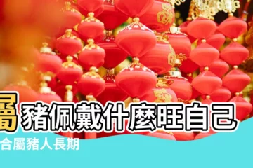 【屬豬人配飾】屬豬佩戴什麼旺自己 |適合屬豬人長期佩戴的吉祥物 |屬豬佩戴什麼物件比較好呢 |