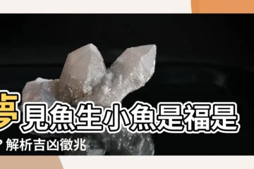 【夢見魚生小魚】夢見魚生小魚是福是禍？解析吉凶徵兆
