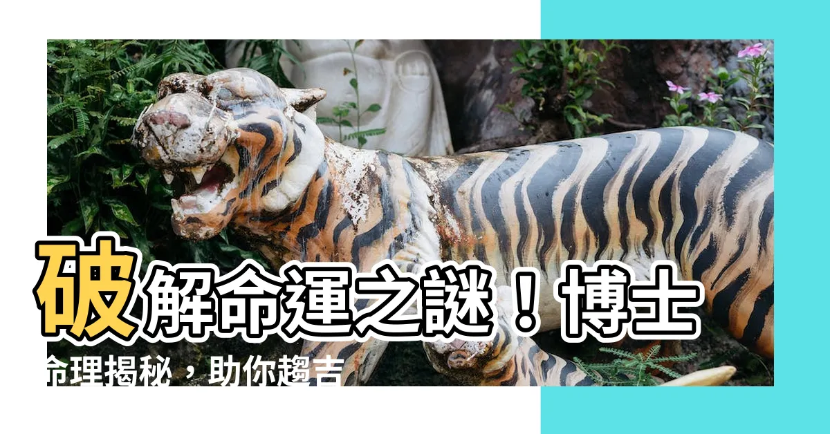 【博士命理】破解命運之謎!博士命理揭秘,助你趨吉避兇!