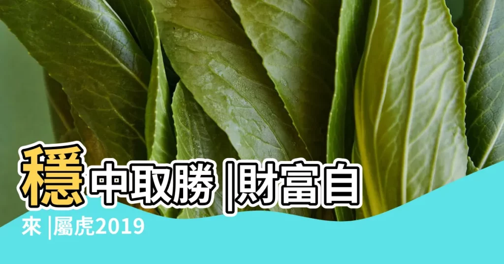 穩中取勝 |財富自來 |屬虎2019年運勢及運程會如何 |【屬虎2019年農曆二月財運】