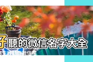 【最好聽的男微信暱稱】好聽的微信名字大全男男生好聽的微信暱稱網名 |300個適合男孩使用的微信名字 |好聽的微信暱稱男 |