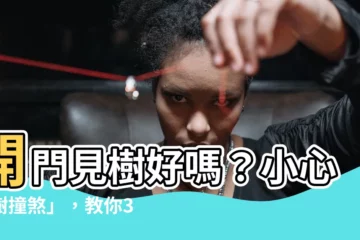 【開門見樹】開門見樹好嗎？小心「樹撞煞」，教你3招化解