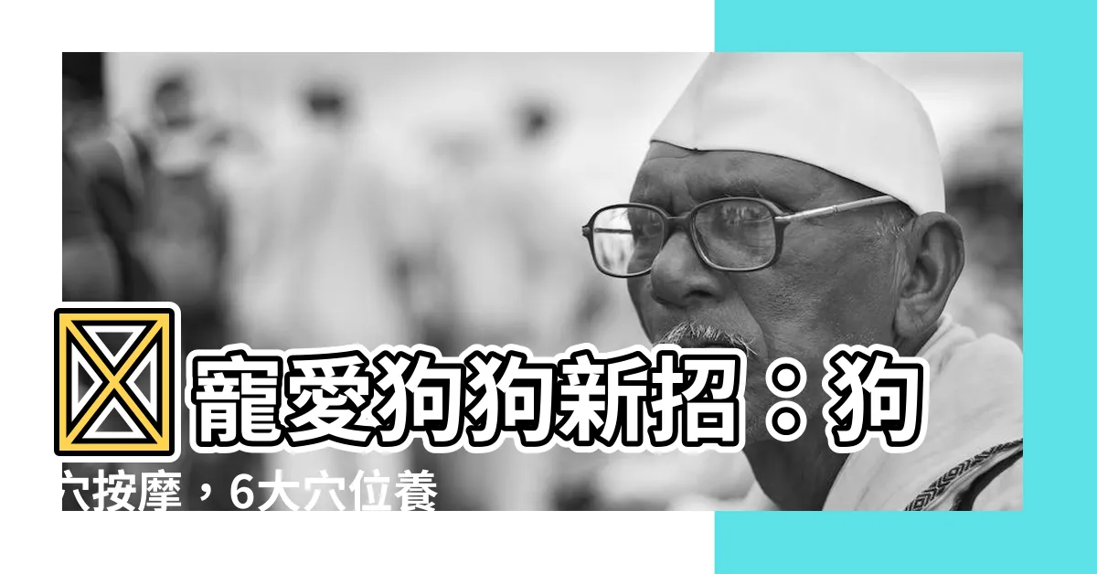 【狗穴】🐶寵愛狗狗新招：狗穴按摩，6大穴位養生又顧心！🐶