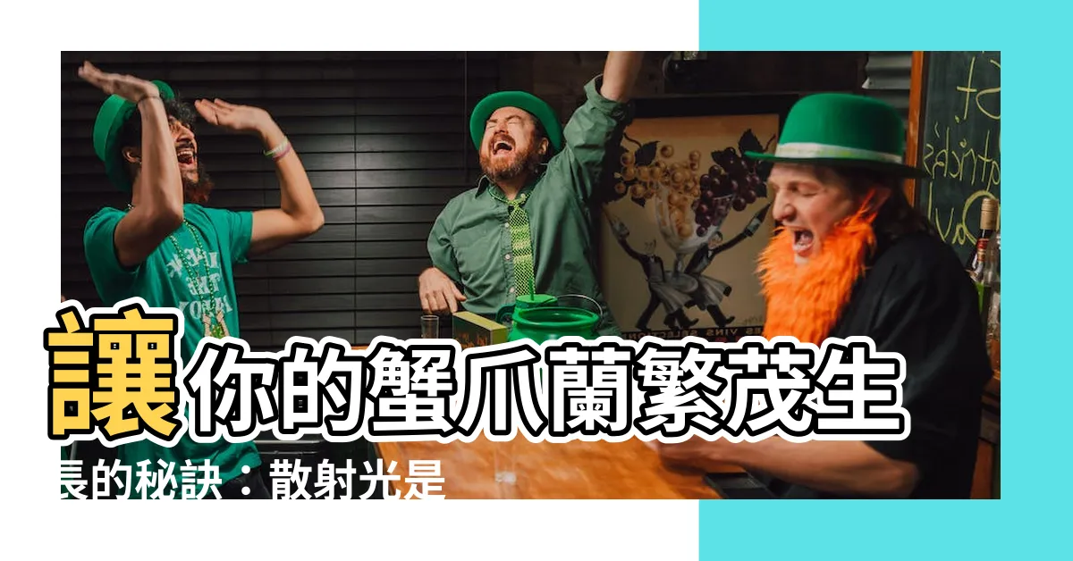 【散射光 植物】讓你的蟹爪蘭繁茂生長的秘訣：散射光是關鍵！
