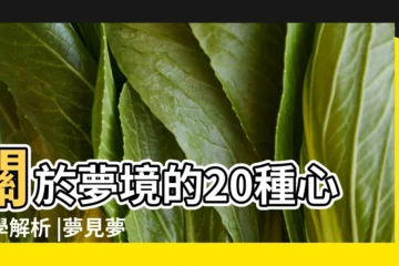 【夢裏很特別】關於夢境的20種心理學解析 |夢見夢裏自己特別困 |為什麼做夢會感覺特別累 |
