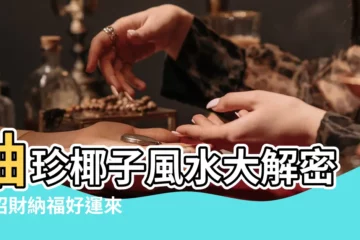 【袖珍椰子風水】袖珍椰子風水大解密：招財納福好運來