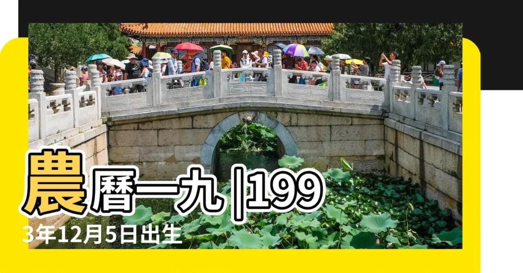 農曆一九 |1993年12月5日出生的人命好嗎 |1993年12月5日出生的人生辰八字測算 |【1993年12月5日生辰八字】