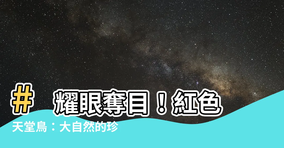 【紅色天堂鳥】# 耀眼奪目！紅色天堂鳥：大自然的珍寶，免費圖片任您下載！