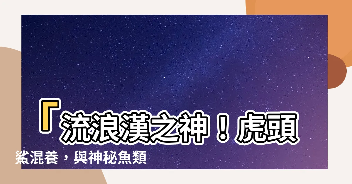 【虎頭鯊混養】「流浪漢之神！虎頭鯊混養，與神秘魚類結盟，震撼全球魚界！」