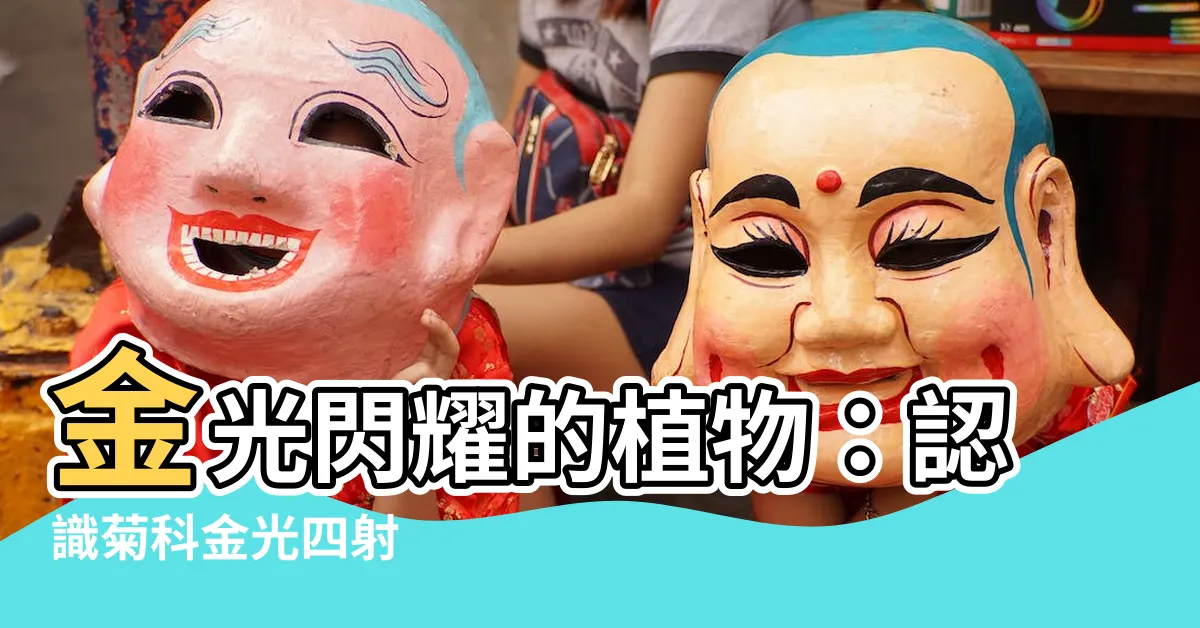 【金光四射】金光閃耀的植物：認識菊科金光四射