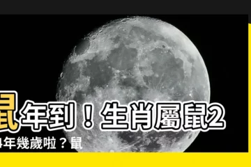 【生肖 老鼠】鼠年到！生肖屬鼠2024年幾歲啦？鼠年對照表告訴你！
