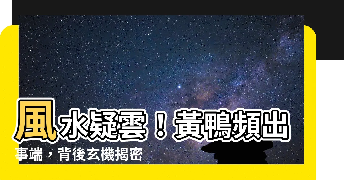 【黃鴨 風水】風水疑雲！黃鴨頻出事端，背後玄機揭密