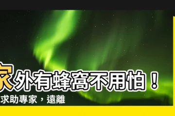 【家外有蜂窩】家外有蜂窩不用怕！1招求助專家，遠離蜜蜂入侵風險