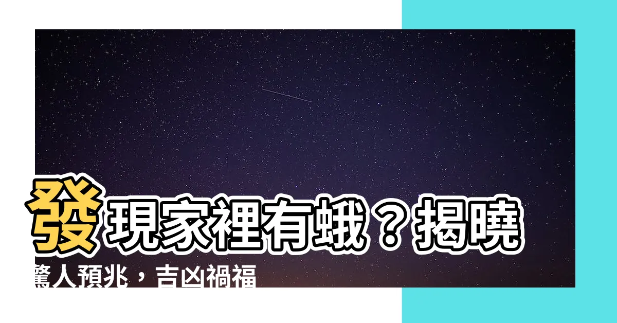【看到蛾】發現家裡有蛾？揭曉驚人預兆，吉凶禍福竟藏在蛾影中