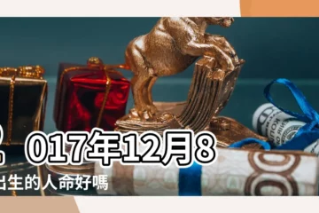 【2017.12.08什麼好日子】2017年12月8日出生的人命好嗎 |是什麼命 |是好日子嗎 |