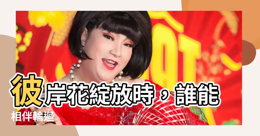 【彼岸花 開花】彼岸花綻放時，誰能相伴輪迴