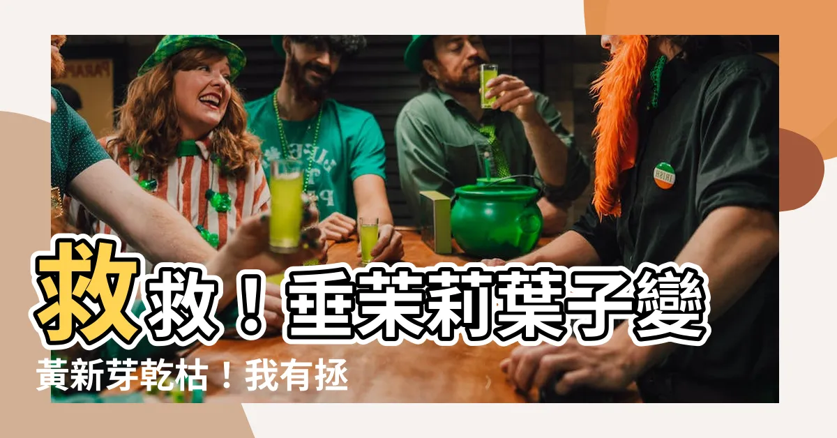 【垂茉莉葉子變黃】救救！垂茉莉葉子變黃新芽乾枯！我有拯救方案