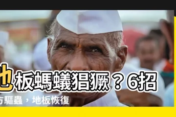 【地板有螞蟻】地板螞蟻猖獗？6招妙方驅蟲，地板恢復光亮！