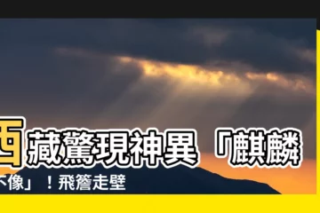 【麒麟四不像】西藏驚現神異「麒麟四不像」！飛簷走壁、神通無敵