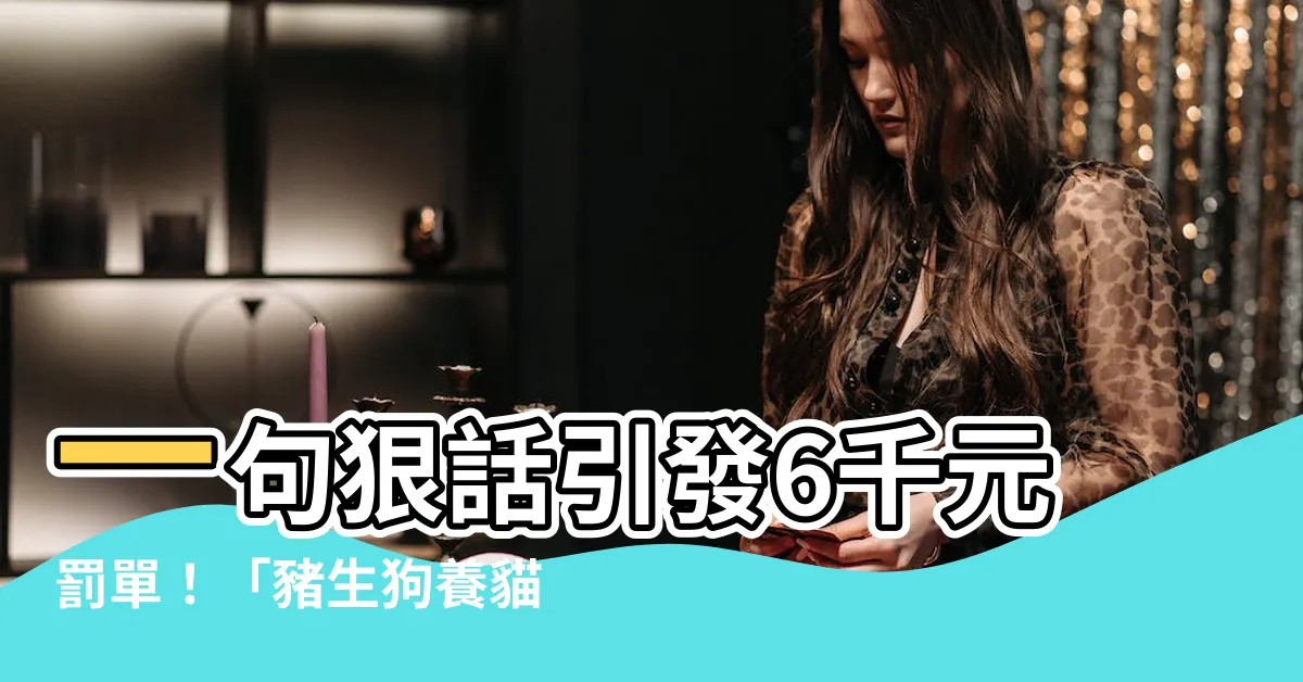 【豬生狗養貓帶大】一句狠話引發6千元罰單!「豬生狗養貓帶大」原來是這個意思?