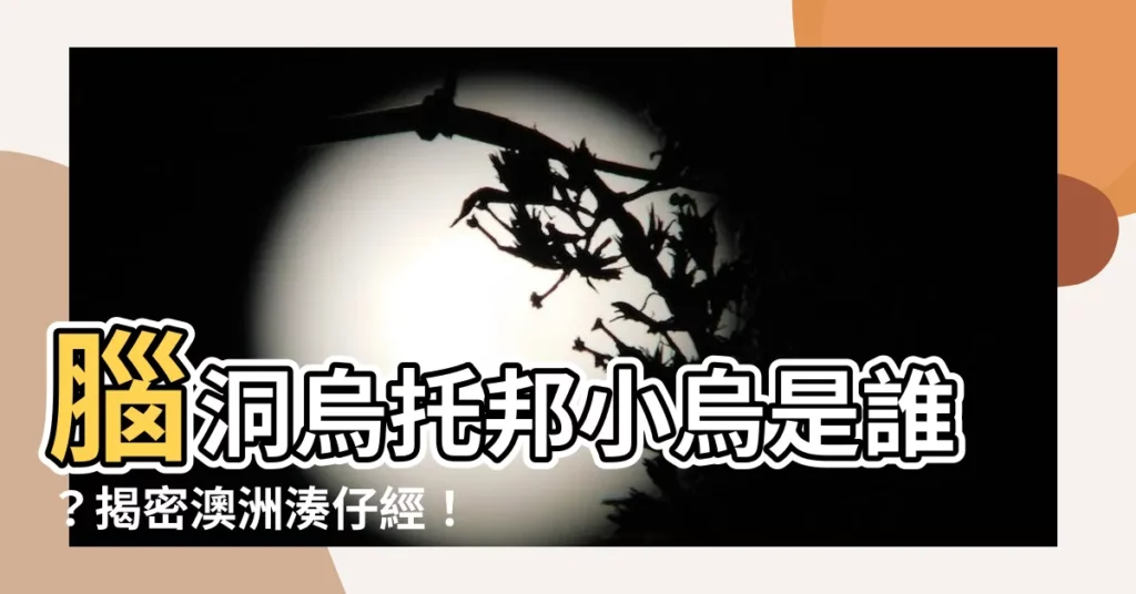 【腦洞烏託邦小烏是誰】腦洞烏託邦小烏是誰？揭密澳洲湊仔經！ 網友熱議接替老高人選