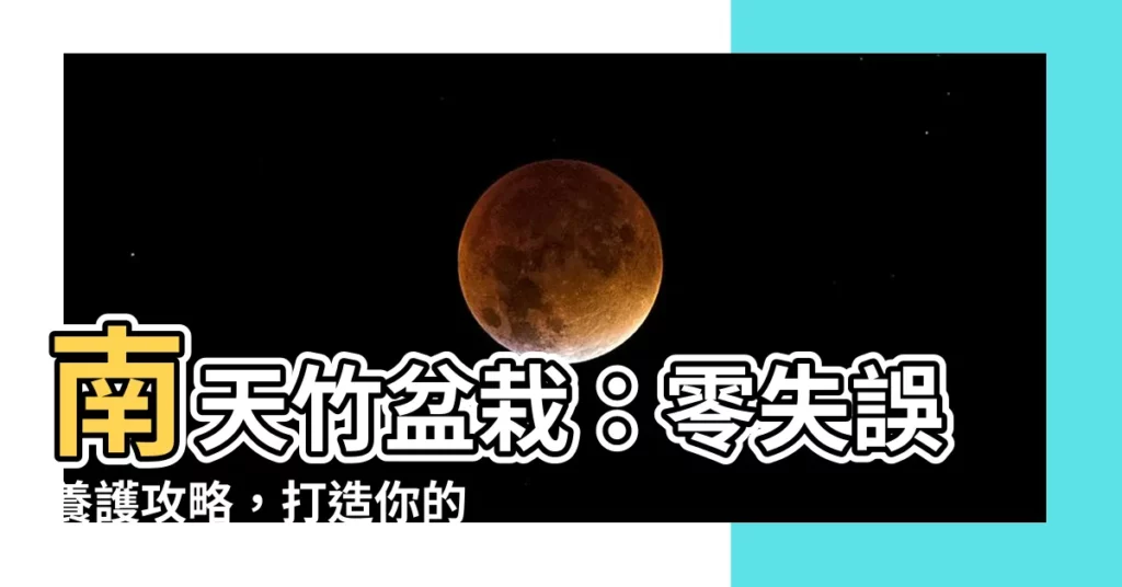 【南天竹盆栽】南天竹盆栽：零失誤養護攻略，打造你的綠意天堂